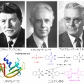 第72回ノーベル化学賞 アンフィンセン・ムーア・ステイン「リボヌクレアーゼの研究」そのアミノ酸配列と分子構造解析