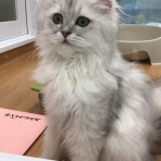 ペットショップワンラブ カインズ名古屋当知店ペッツワンコーナースタッフブログ