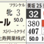 ハイブリッド競馬新聞