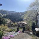 三沢の春の様子。。。新緑が目に眩しいほどでした