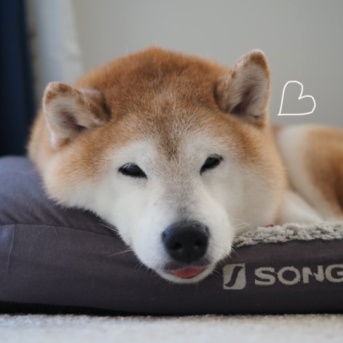 ま、それなりに…