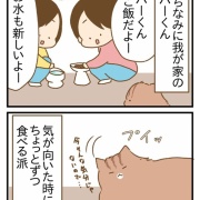 甥っ子猫に会ってきた②