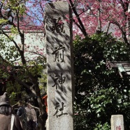 母の執念で晴れた日(笑)♪