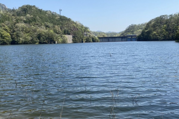 広島でゆっくりまったりバス釣りを楽しむ日記