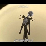 洋楽翻訳☆お味噌味 - オリジナル歌詞和訳の妄想旅行へ