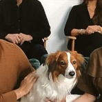 DUALVIEW 白金店ブログ