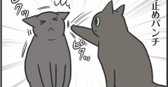 強いスミちゃんの優しいパンチ