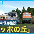 毎日新聞のウェブサイト「私のライフシフト」に掲載頂きました。