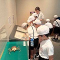 ＼キケン生物たちの意外な一面／萩博物館さまの夏期特別展「悪者生物展―野生生物とあゆむ、私たちの未来―」が開催中です