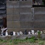 猫写真家・沖 昌之のブログ　野良ねこちゃんねる。　