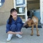 【悲報】700匹の犬を処分した女性、動物保護団体に叩かれて自殺する…