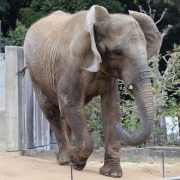 激怒プンプン丸な姉妹