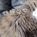 毛玉きょうだい