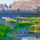 2026年(令和８年)４月　菊野台ヨガと整体のスケジュール