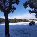 県生涯学習C「磁石実験工作キツツキ君」八郷西小・1/22