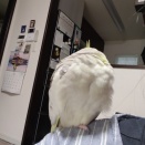 小寒い