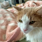 日向ぼっこからじゃれ合いへ。どちらが勝った？