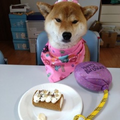 Happy　Birthday