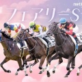 東西重賞で有力馬が抽選除外…フェアリーSシホリーン、シンザン記念マイエレメント