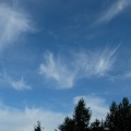 今朝の雲
