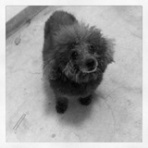 OMNPATTY【YSK】のBLOG