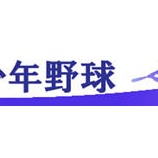 『2016年、野球は繁栄しているのか　｜野球があぶない！』の画像
