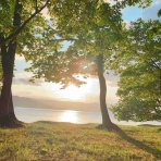 ほぼ日々宇宙に沿って生きているー２６０days-