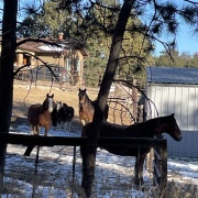 ���򴵤ä��ͤΤ����