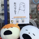 郡山市 眼鏡専門店Syozo  めがね日和