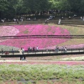 長瀞