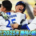 【保存版】DeNA2025年ハマスタ勝利集が神編集すぎるｗｗｗ