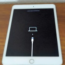 iPad mini5 モバイル通信障害