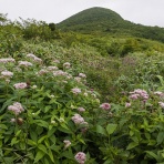 （続）東北の山遊び