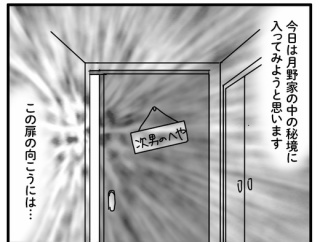 次男のモケケコレクション