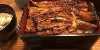 【驚愕】女性同僚がウナギを食べられない理由とは…？