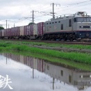 4075レを撮る　EF510水鏡　日豊本線　坂ノ市　2026年7月2日