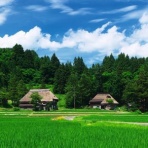 ミーハー総研（ミーハー総合研究所）