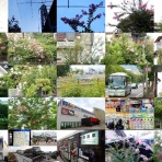 百趣味LIVEブログ