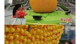 【中国】展示品のラバー・ダック１万５千個、半数持ち去られる