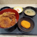 松のや「ロースと野菜の合い盛りタレかつ丼」