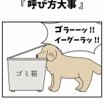 リンマンブルース　ゴールデンレトリバーの生態とマンガ