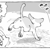 うちの犬のルカ。【５７】
