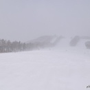 寒さに耐えきれず　2026.1.20（火）