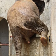 砥愛ちゃんのお転婆水浴び♪