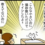 あぁ、トマコの生きる道