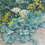 とみをの水彩画だより