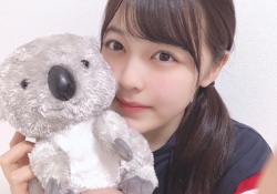 【乃木坂46】乃木メンのぬいぐるみ・・・誰のが一番好き？？？