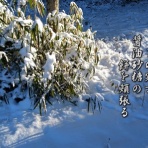 フォト短歌游々日記