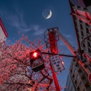 【作詩】ぼくのバームクーヘン