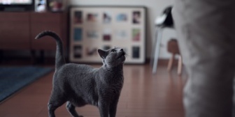 幼稚園の写真選びをしていたら、「動物アレルギー対応希望の場合は、接触のないスタッフが印刷・発送します」との記載を見つけた。ここまで気を使う必要があるのか？